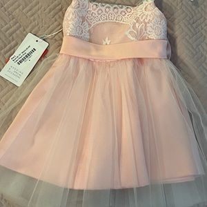 JJ’s House Girls Special Occasion dress, Pearl Pink, Size 2T.